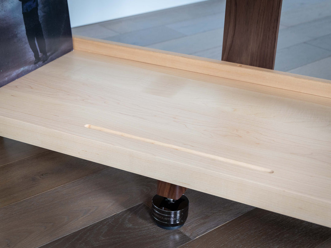 ECHELON HD Audio Rack with Album Storage